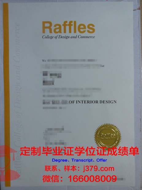 俄罗斯科学院设计与工艺信息学学院diploma证书(俄罗斯设计留学)