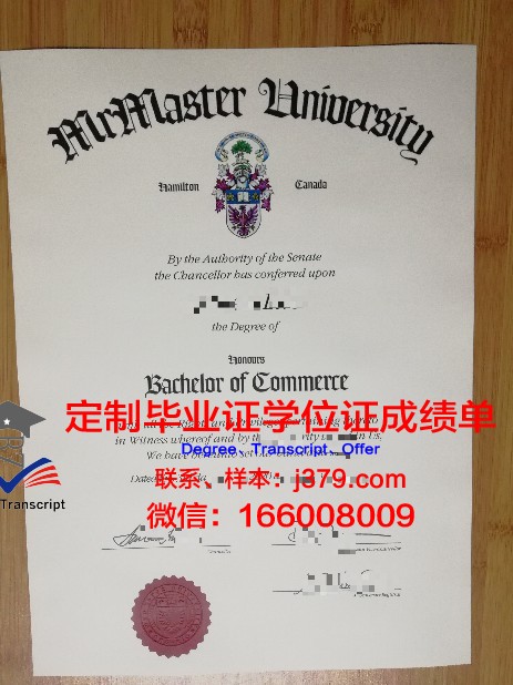 麦克雷雷大学成绩单:一份承载荣誉与梦想的纸笔记录