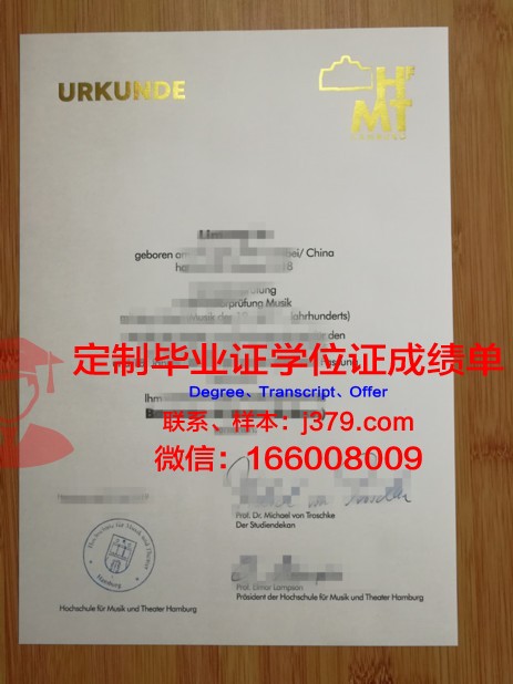 汉堡港口城市大学毕业证模板(汉堡港港口设施)