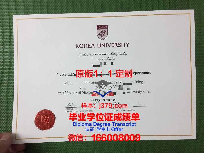韩国大学毕业证怎么买(韩国大学毕业证丢了怎么办)