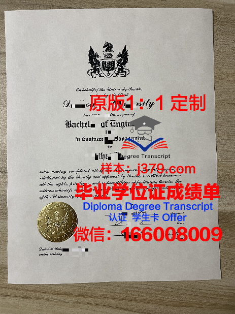 魏玛包豪斯大学毕业证书模板(魏玛时期包豪斯的教员有哪些)