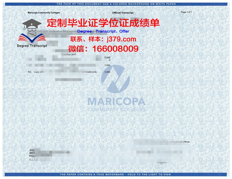 鸣门教育大学学位成绩单定制：专业、精准、权威