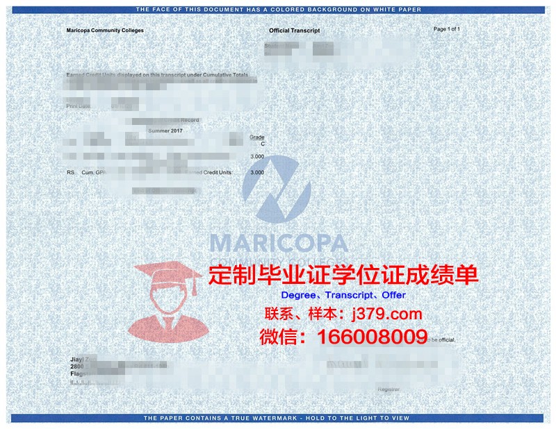韦大成绩单:一部揭示青春成长的励志故事