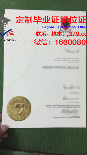 鲁汶天主教大学毕业证学位证(天主教荷语鲁汶大学)