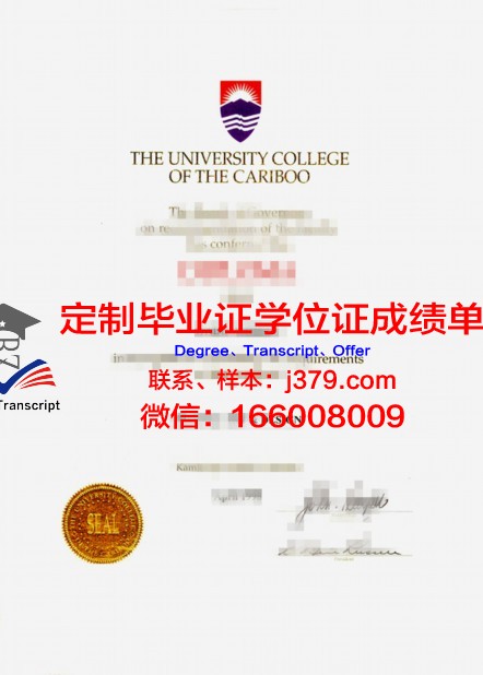 麻城理工毕业证书图片样本:承载荣誉与梦想的见证
