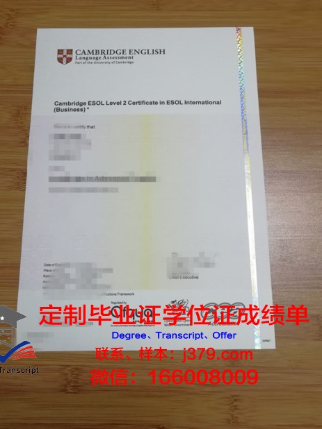 俄大本科学位证书图片：跨越国界的学术荣耀