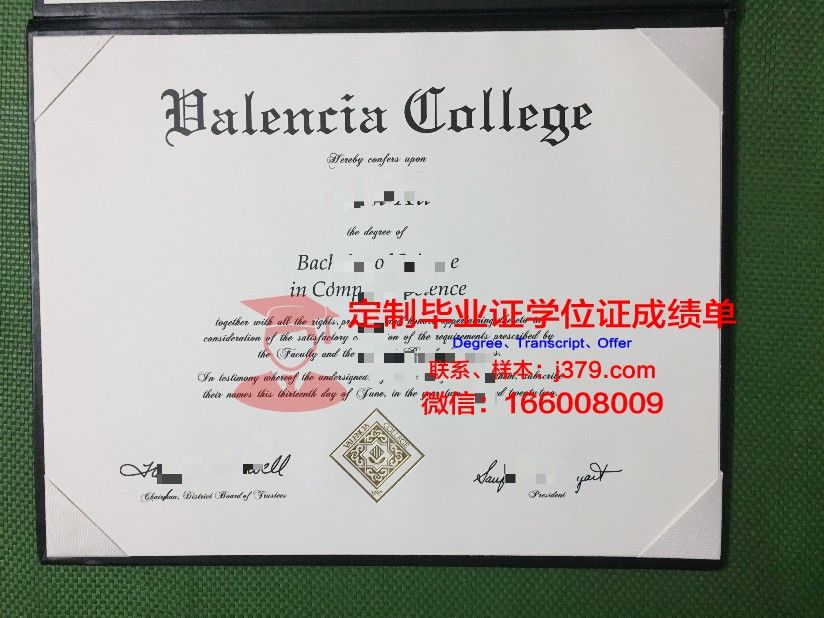 瓦伦西亚圣维森特玛蒂尔天主教大学本科毕业证书:一份珍贵的学术荣誉