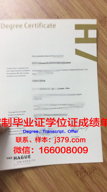 瓦萨应用科学大学毕业证电子版(瓦萨应用科技大学)