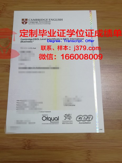 现代人文学院diploma证书(人文学院的全名)