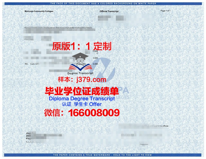 萨勒诺大学学位成绩单定制:探寻学术诚信的边界