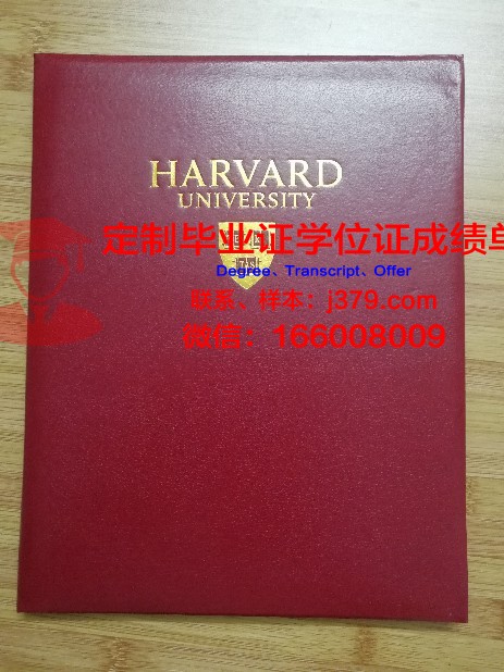 阿拉木图能源学院毕业证壳子