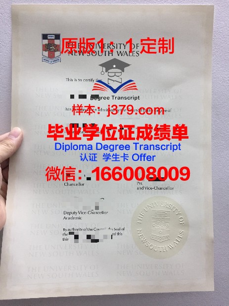 阿拉木图能源学院本科毕业证:开启能源领域新篇章的钥匙