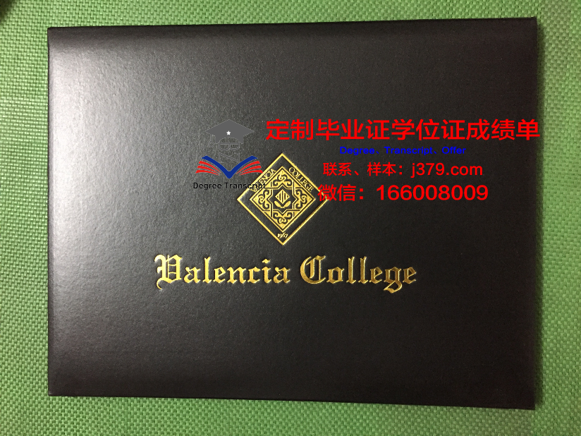 瓦伦西亚欧洲大学毕业证原件(瓦伦西亚大学注册费)
