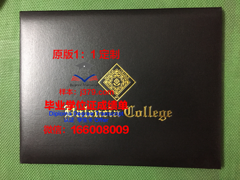 瓦伦西亚欧洲大学硕士毕业证书样本(瓦伦西亚大学博士)