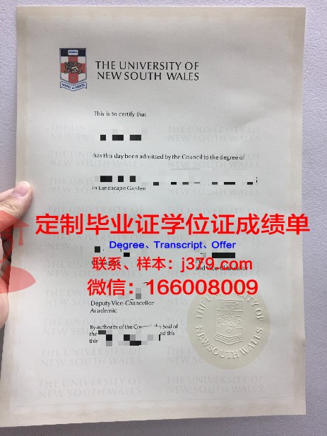 瓦萨大学毕业证:一份承载荣誉与梦想的证书