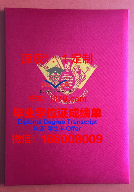 瓦加斯基金会巴西公共与企业管理学院毕业证壳子