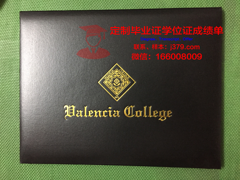 瓦伦西亚理工大学本科毕业证(瓦伦西亚理工费用)