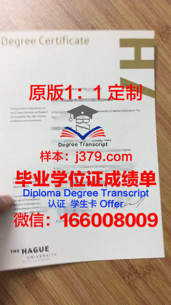 瓦萨应用科学大学毕业证成绩单(瓦萨应用科学大学毕业证成绩单图片)