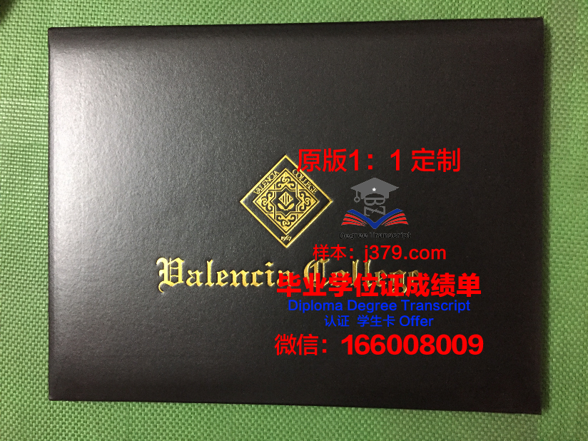 瓦伦西亚圣维森特玛蒂尔天主教大学本科毕业证书:一份珍贵的学术荣誉