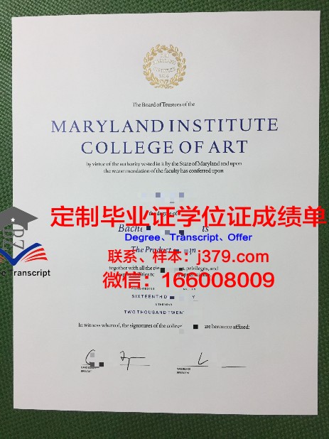 萨尔造型艺术学院毕业证图片(萨尔cg)