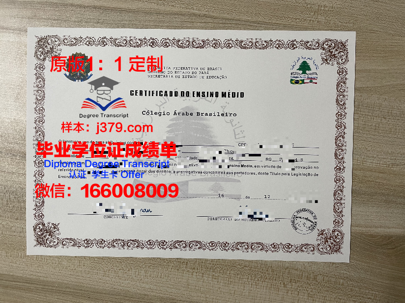 瓦加斯基金会巴西公共与企业管理学院硕士毕业证:开启国际化管理之路