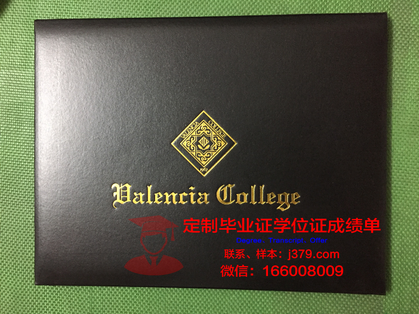 瓦伦西亚欧洲大学毕业证是什么样子(瓦伦西亚的大学)