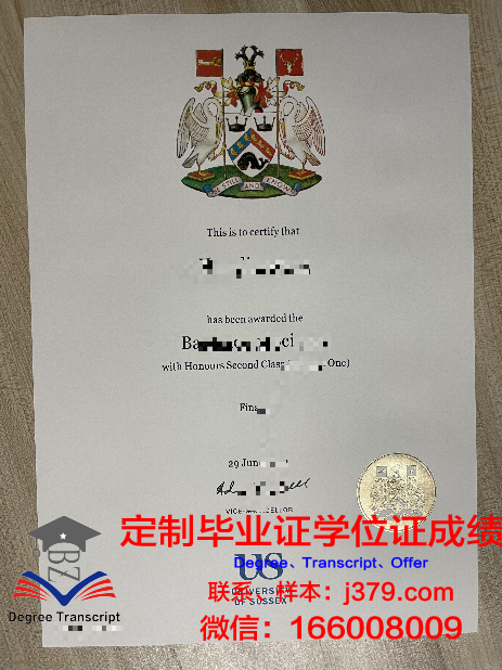 萨塞克斯大学成绩单:国际学生的学术评价与未来发展