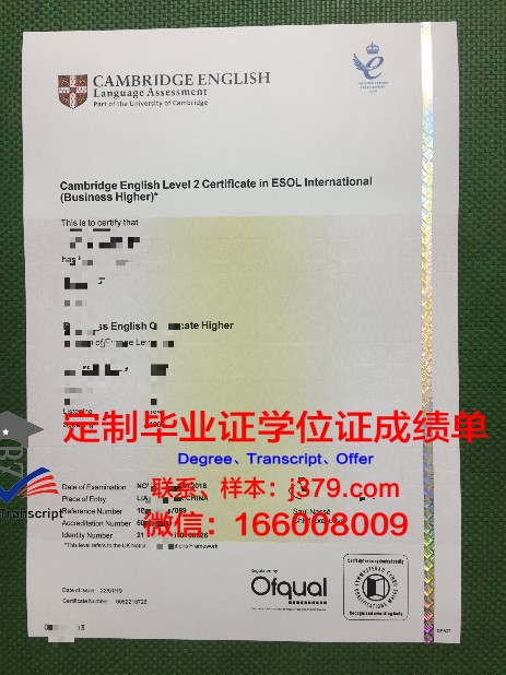 瓦朗谢纳大学毕业证书图片模板(瓦朗谢纳足球俱乐部)
