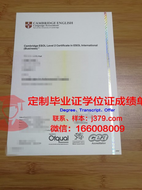 瓦萨大学毕业证书模板(瓦萨大学毕业证书模板)