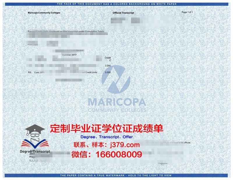 菲斯大成绩单:一部揭示教育真谛的力作