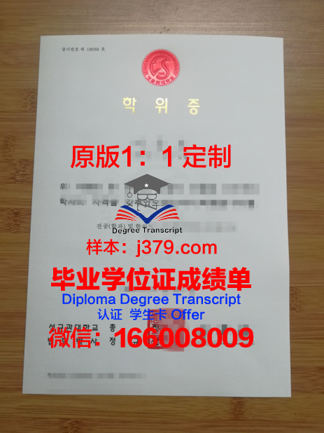 萨拉大硕士学位证:解锁知识之门的钥匙