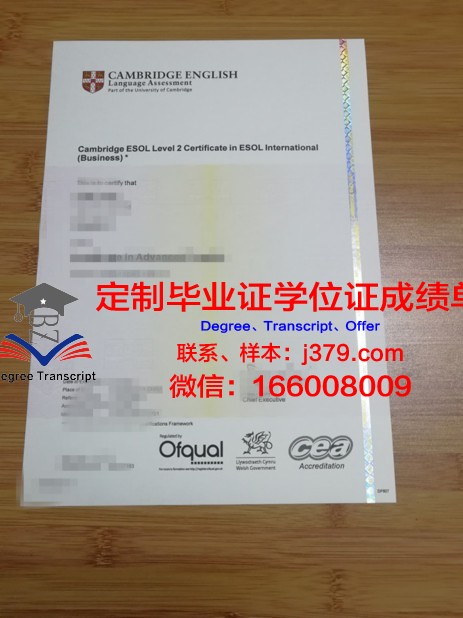 萨尔大学毕业证书多久收到(萨尔大学毕业证书多久收到邮件)