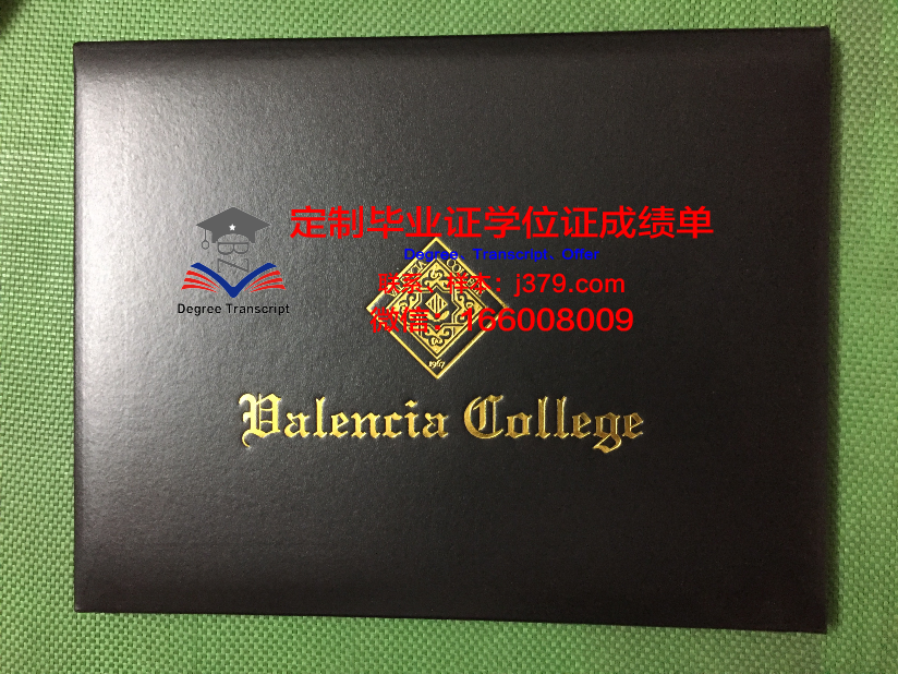 瓦伦西亚大学毕业证壳子(瓦伦西亚大学开学时间)