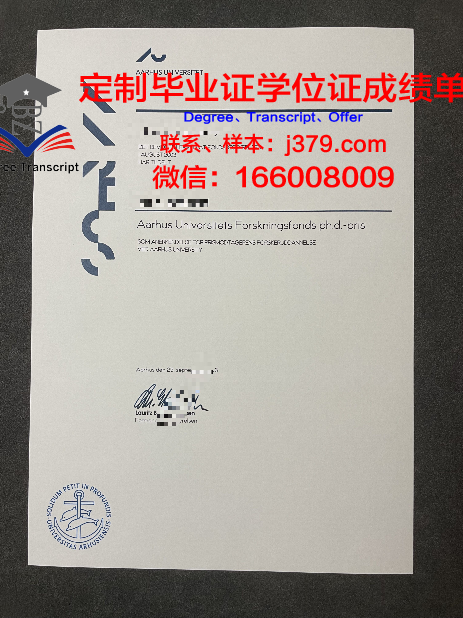奥胡斯建筑学院毕业证案例(奥胡斯大学土木工程)