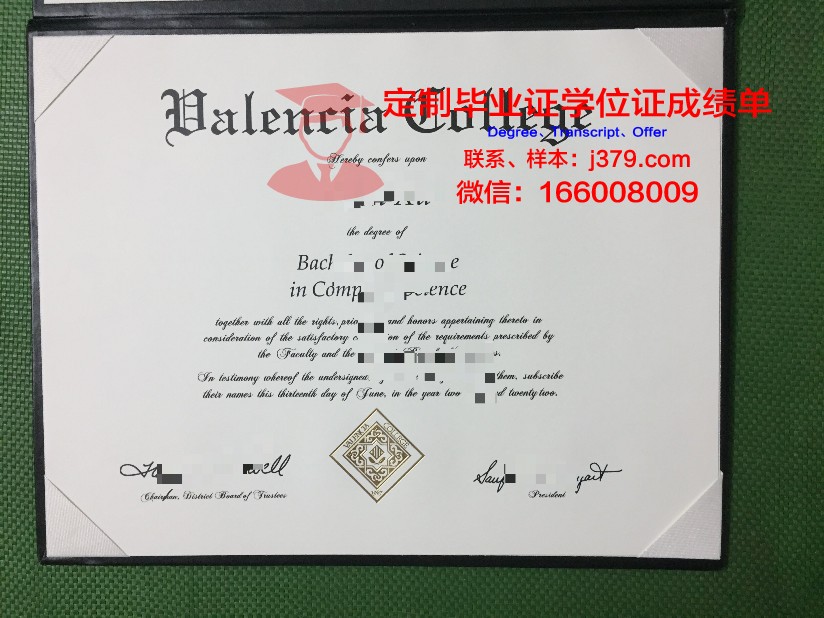 瓦伦西亚理工大学毕业证书图片大全(瓦伦西亚理工大学相当于国内的)
