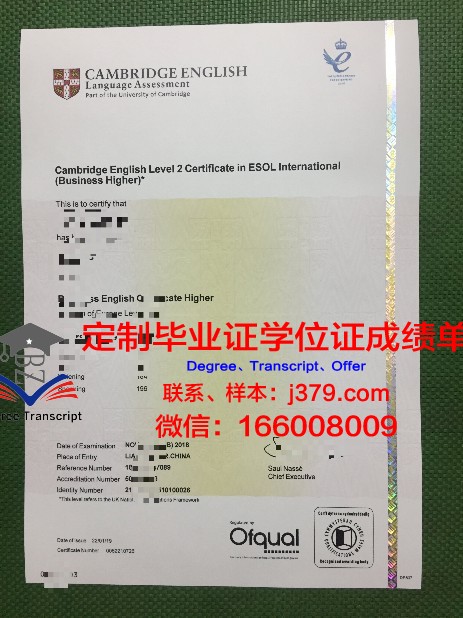 瓦萨大学毕业证书模板(瓦萨大学毕业证书模板)
