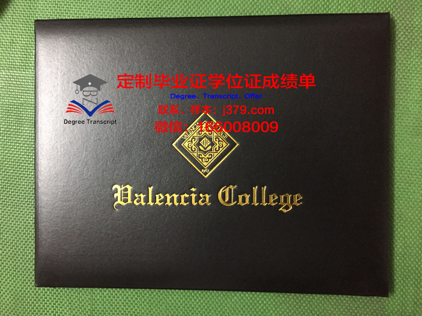 瓦伦西亚欧洲大学毕业证学位证(瓦伦西亚大学研究生申请条件)
