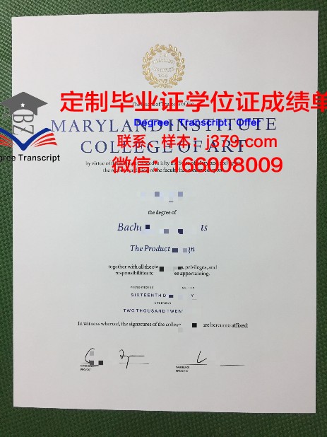 萨尔造型艺术学院毕业证什么样子(《萨尔萨尔》)
