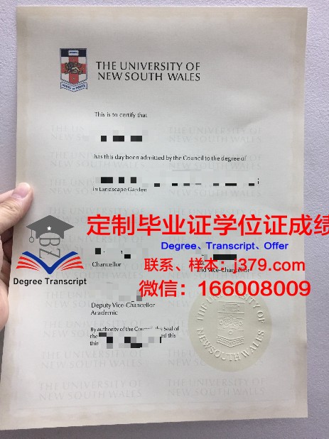 萨玛拉国立经济大学本科毕业证:开启国际职场之门的钥匙