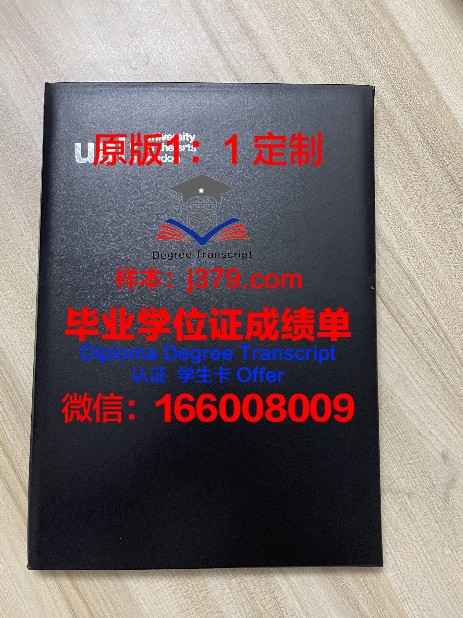 奥蒂斯艺术与设计学院毕业证案例(美国奥蒂斯艺术与设计学院)