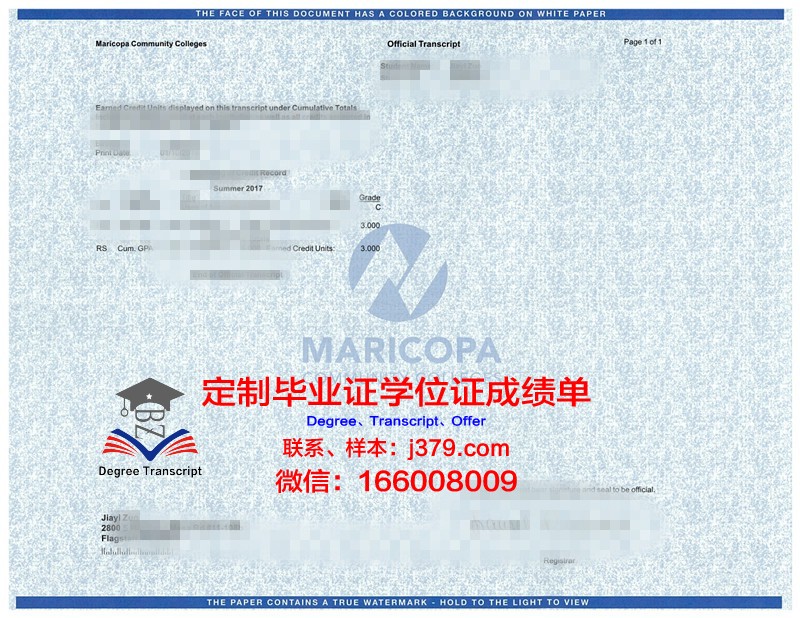 萨大成绩单:一份见证成长与收获的青春记忆
